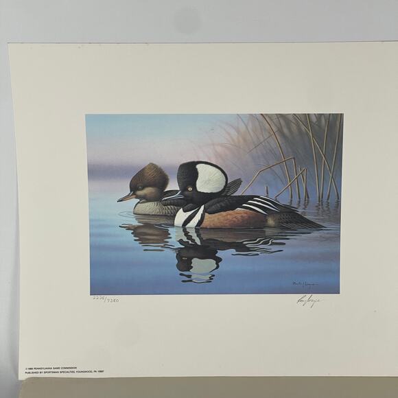Pennsylvania Waterfowl Management Stamp Print Hooded Merganser 1999 #2235 - Picture 1 of 5